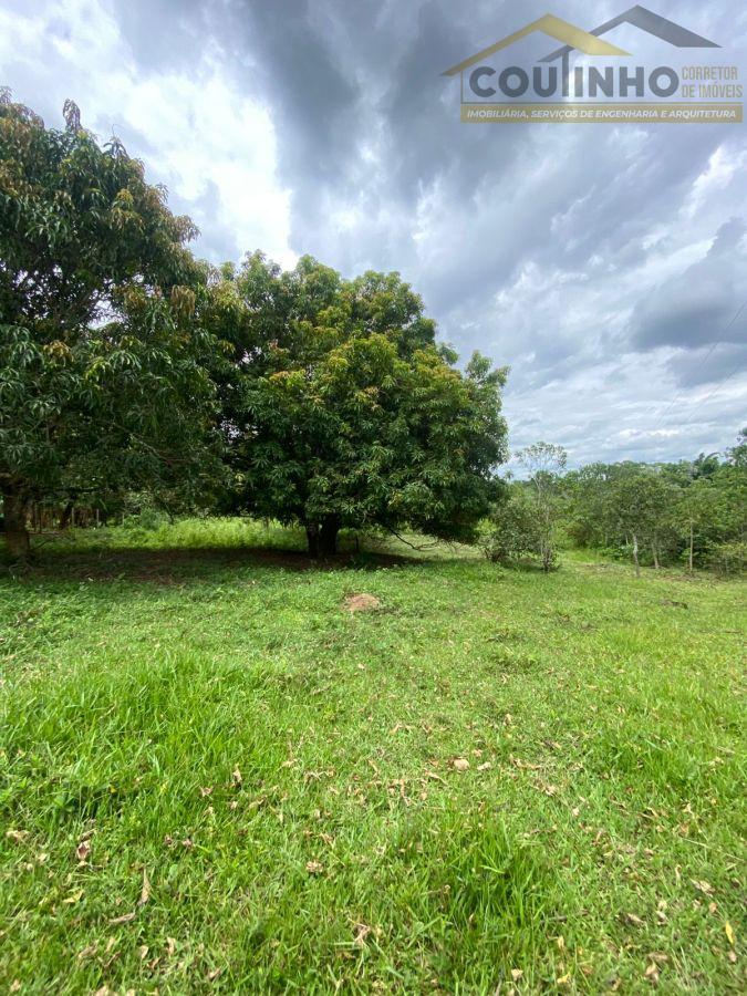 WhatsApp Image 2026-01-29 at 20.11.53.jpeg